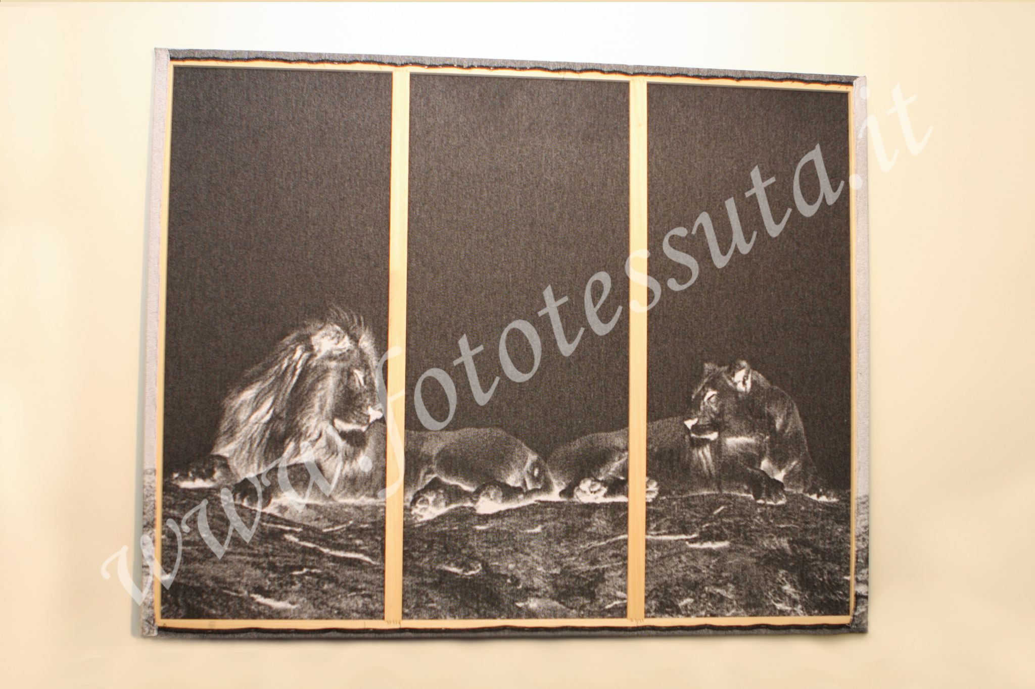 Foto Tessuta Riquadrata 150x200 cm. - immagine 6