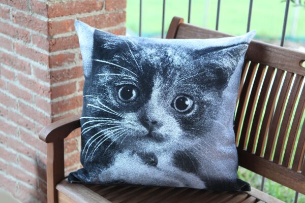 Cuscino tessuto 60x60 cm.